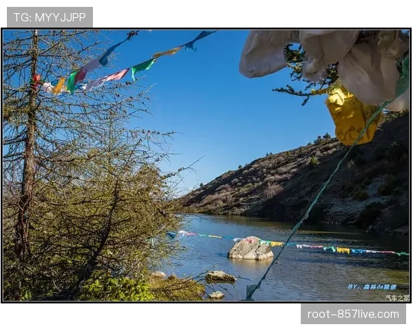 体育行业人才培训采用AI模拟教学 实操考核通过率提高